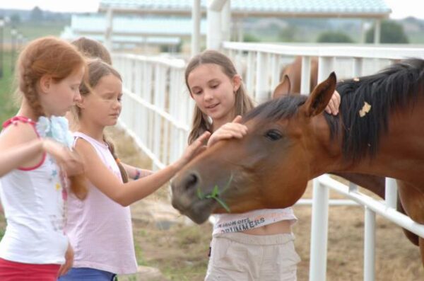 The school children have horse riding club