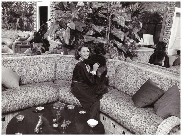 Irina's living room interior